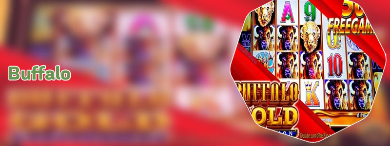 Buffalo slot machine bonus