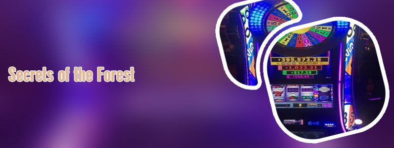 Igt wheel of fortune slot machine for sale