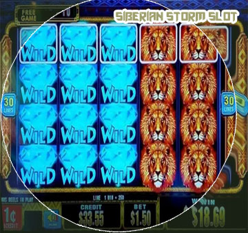 Siberian storm slot